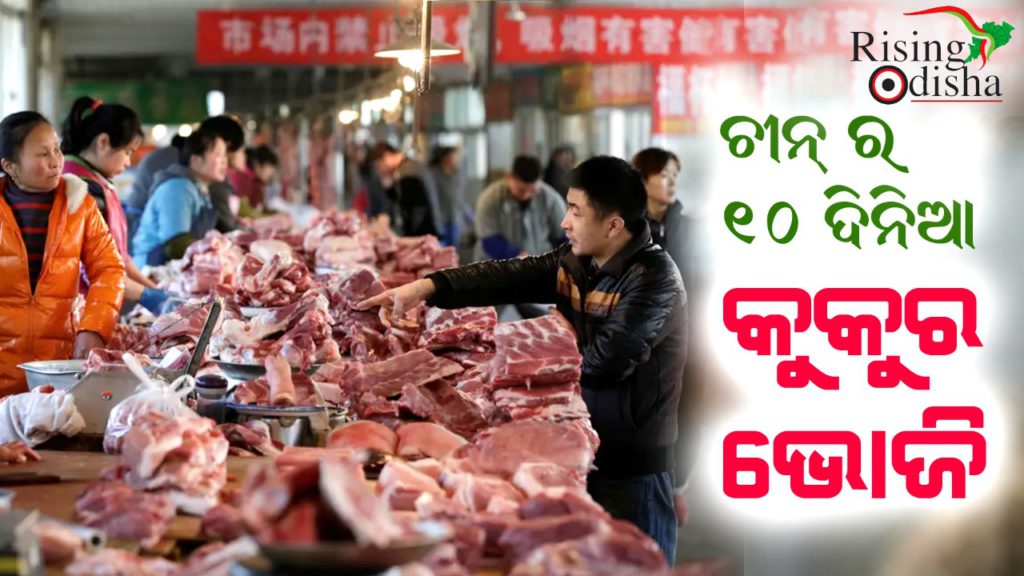 china, yulin, dog meat festival, dogs slaughtering, chinese culture, yulin city, rising odisha