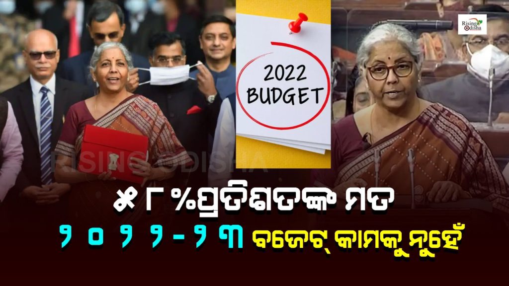 union budget 2022, nirmala sitharaman, finance minister, modi govt budget, central govt, budget session, india budget 2022 survey, rising odisha, odia blog