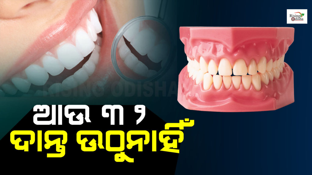 teeth, kashi hindu vishwavidyalaya, human teeth, survey, odia blog, rising odisha